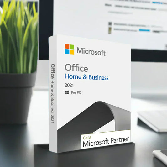 Office 2021 Home and Business PC - Neweggv